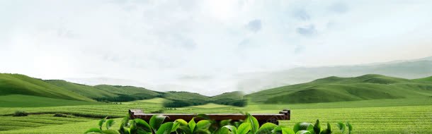 绿色大山茶叶背景矢量jpg设计背景_新图网 https://ixintu.com 图片 大山 矢量 绿色 背景 茶叶