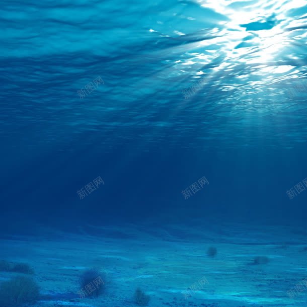 阳光直射蔚蓝深海jpg设计背景_新图网 https://ixintu.com 深海 直射 蔚蓝 阳光