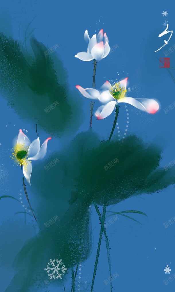手绘水彩白色荷花jpg设计背景_新图网 https://ixintu.com 水彩 白色 荷花