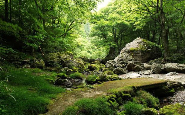 绿色森林中的山山水水jpg设计背景_新图网 https://ixintu.com 山山水水 森林 树林 绿色 草坪 小路 阳光