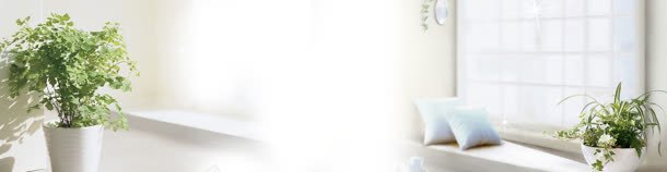 家居阳台清新背景bannerjpg设计背景_新图网 https://ixintu.com banner 家居 清新 盆栽 绿色 背景 阳光 阳台
