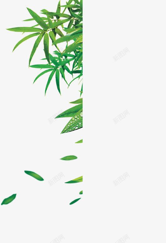 端午节元素png免抠素材_新图网 https://ixintu.com 礼物 端午 端午节 粽子 粽叶