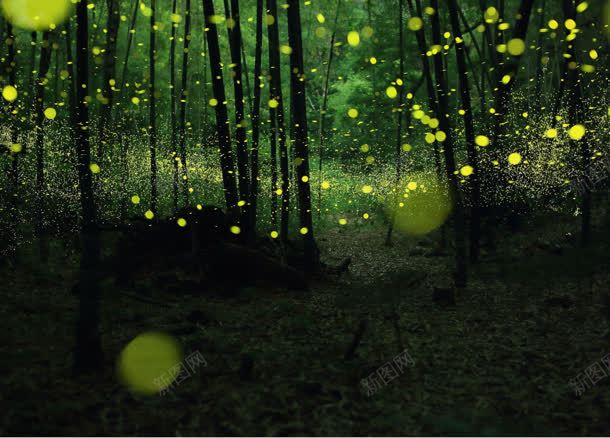 绿色萤火虫竹林海报背景jpg设计背景_新图网 https://ixintu.com 海报 竹林 绿色 背景 萤光 萤火虫