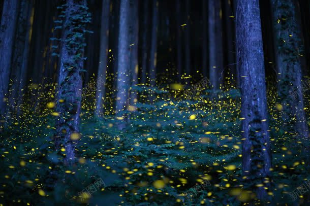 森林里的群萤火虫jpg设计背景_新图网 https://ixintu.com 森林 萤光 萤火虫