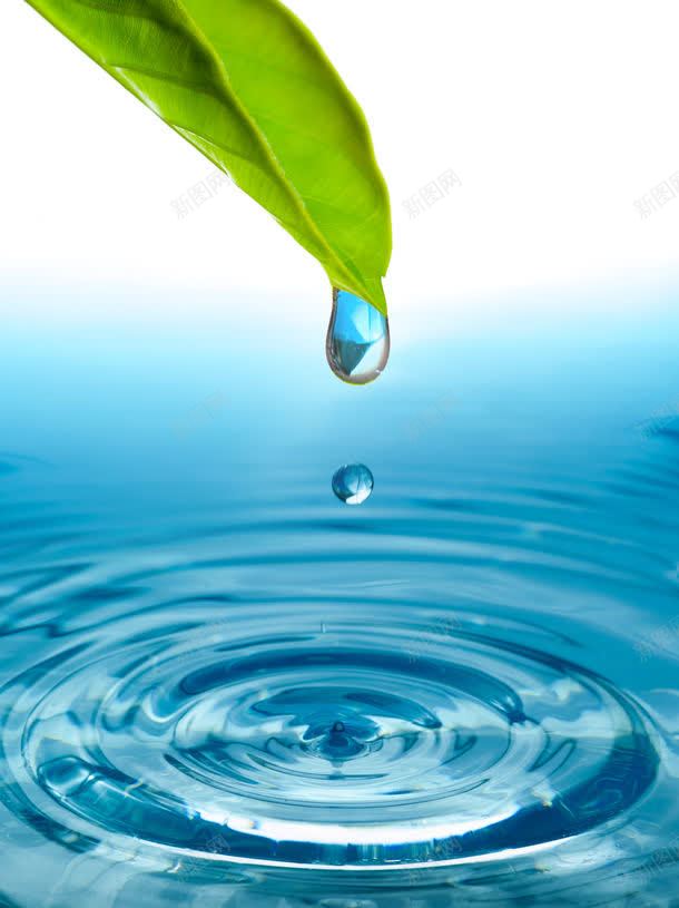 树叶水滴与水纹jpg设计背景_新图网 https://ixintu.com 动感水花 图片素材 底纹背景 树叶 树叶水滴与水纹图片 树叶水滴与水纹图片素材下载 水波 水纹 水花喷溅 波纹 清水 溅起的水花 绿叶 背景花边