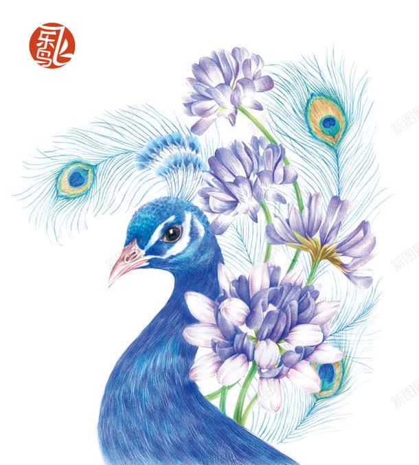 手绘蓝色孔雀紫色花朵jpg设计背景_新图网 https://ixintu.com 孔雀 紫色 花朵 蓝色