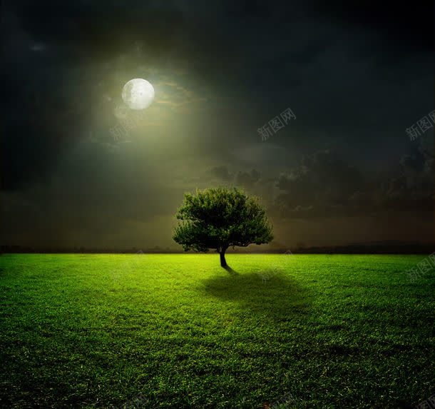 月亮 月色 树木 美丽风景 背景花边 草原夜景 草原树木月亮风景图片
