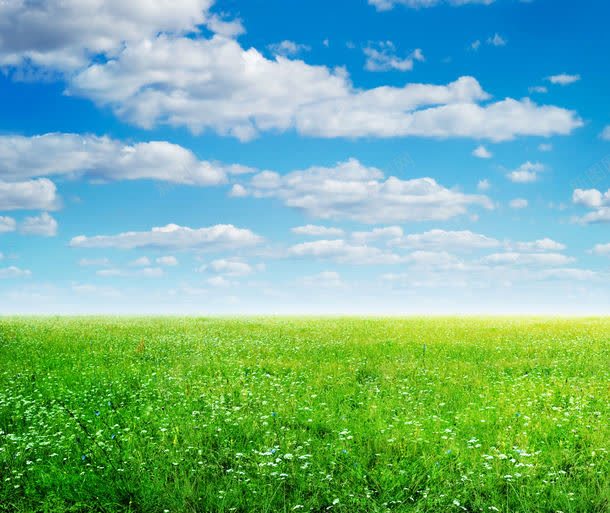 蓝天下的草地与花朵jpg设计背景_新图网 https://ixintu.com 其它类别 图片素材 植物 白云 白色 绿色 绿草 背景花边 花朵 花草树木 草地 草坪 草坪背景图片 蓝天 蓝天下的草地与花朵图片 蓝天下的草地与花朵图片素材下载