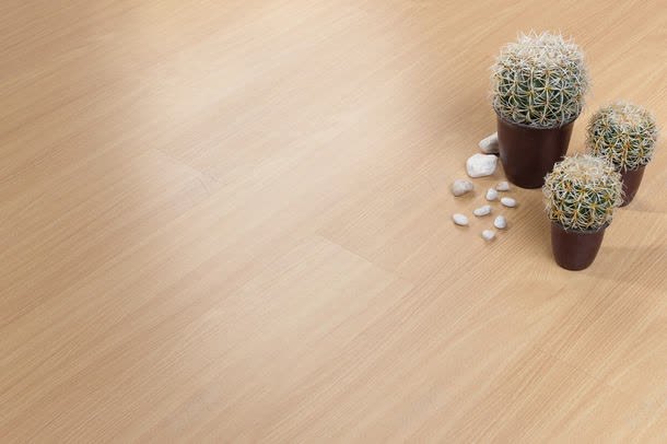 木地板上的仙人掌jpg设计背景_新图网 https://ixintu.com 仙人掌 其它类别 图片素材 底纹背景 怀旧木板背景 木地板上的仙人掌图片 木地板上的仙人掌图片素材下载 木板背景 木纹材质 木纹材质背景 木纹材质背景图片 木纹背景 木质纹理 木质背景 背景花边