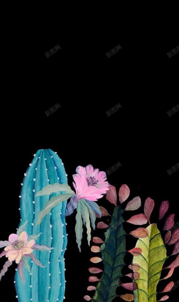 手绘插画仙人掌开花jpg设计背景_新图网 https://ixintu.com 仙人掌 开花 插画