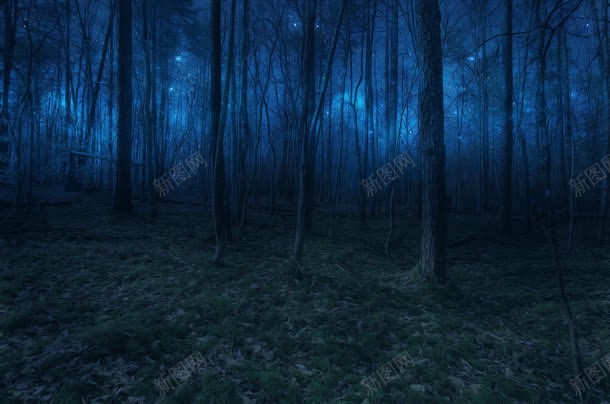神秘蓝色森林绿草地jpg设计背景_新图网 https://ixintu.com 森林 神秘 草地 蓝色