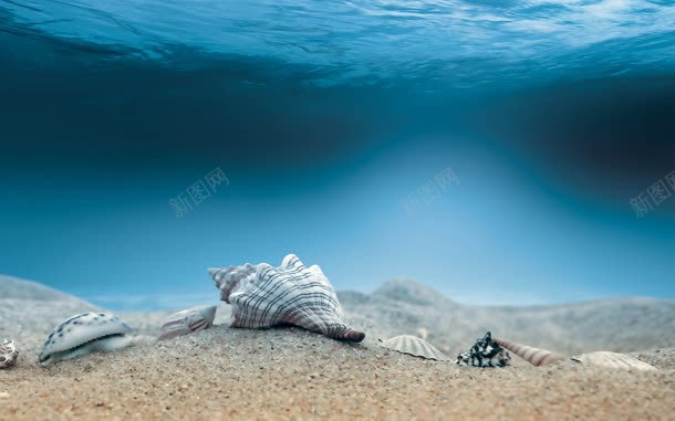 海底世界海鲜生物jpg设计背景_新图网 https://ixintu.com 世界 海底 海鲜 生物