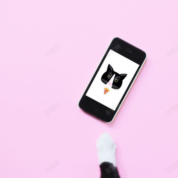 手机中的黑猫爪子海报背景jpg设计背景_新图网 https://ixintu.com 手机 海报 爪子 背景