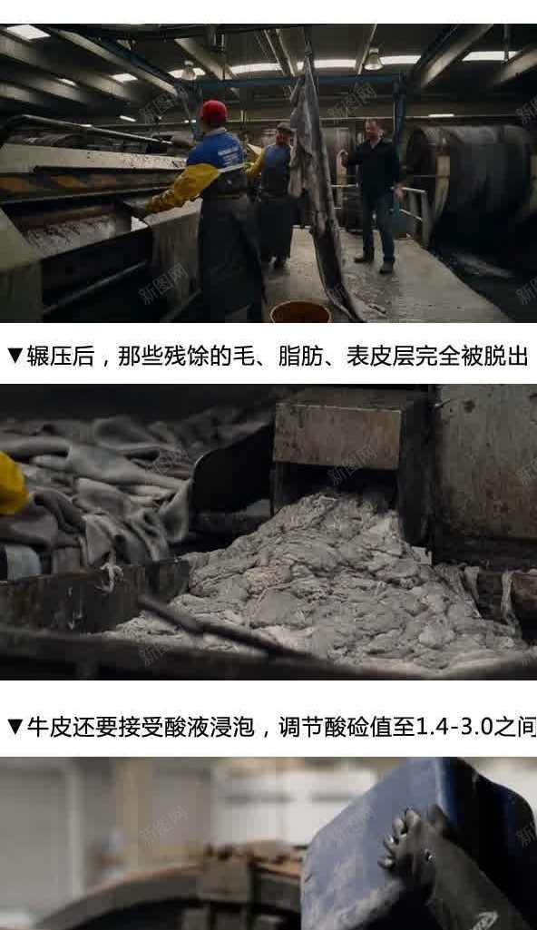 皮革制作过程实景图未经过加工的牛皮jpg设计背景_新图网 https://ixintu.com 制作 加工 实景 未经 牛皮 皮革 过程