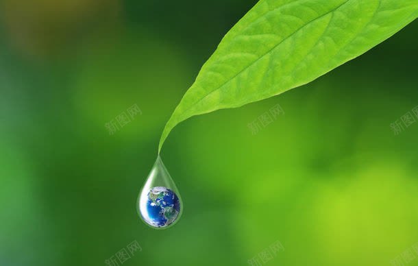 树叶上的水滴地球jpg设计背景_新图网 https://ixintu.com 保护地球 其它类别 叶子 图片素材 地球 树叶 树叶上的水滴地球图片 树叶上的水滴地球图片素材下载 水珠 环境保护 生态环保 绿叶 绿色环保 背景花边 露珠