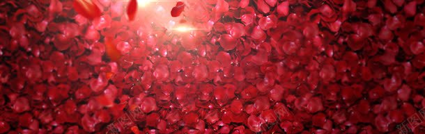 奢华玫瑰女人背景bannerjpg设计背景_新图网 https://ixintu.com banner 唯美 奢华 女人 手表 炫光 玫瑰 背景