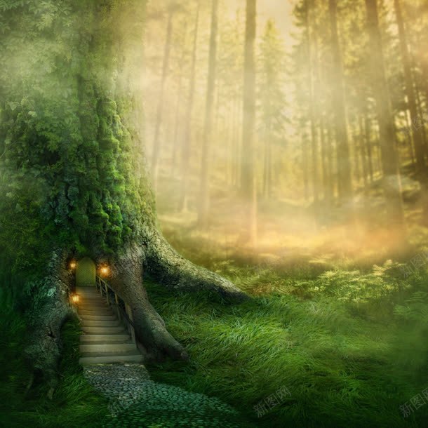 唯美清新的梦幻森林jpg设计背景_新图网 https://ixintu.com 梦幻 森林 清新