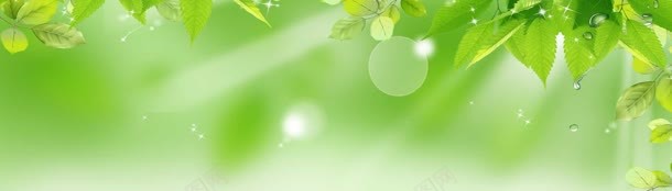 简约背景jpg设计背景_新图网 https://ixintu.com 化妆品海报 树叶 淡雅 绿色