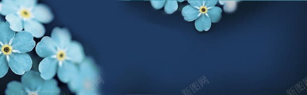 海军风背景bannerjpg设计背景_新图网 https://ixintu.com 促销 海军风耳钉饰品首饰海报免费下载 耳环 耳钉 饰品 首饰