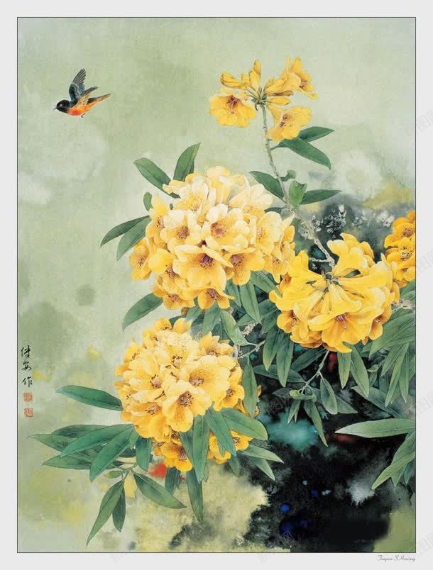 邹传安国画集爱花如痴jpg设计背景_新图网 https://ixintu.com 安国 画集