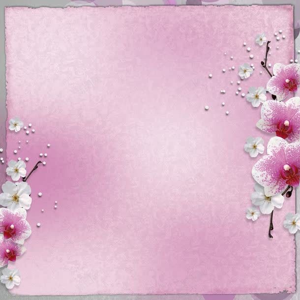 粉红花朵背景jpg设计背景_新图网 https://ixintu.com 中原一点红 图片素材 小花 底纹背景 影楼背景 柔情 桃花 梅花 浪漫 相框背景 粉红色花朵 粉红花朵背景图片 粉红花朵背景图片素材下载 粉色背景 背景花 背景花边 花儿 花朵 钟爱一支梅 鲜花