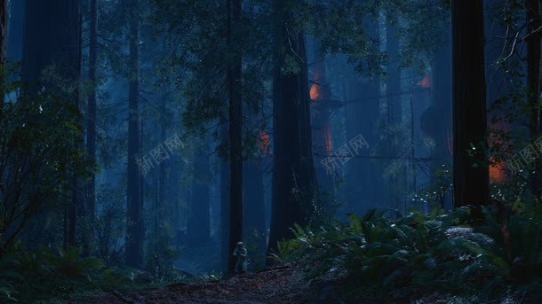 蓝色神秘森林里的灯光jpg设计背景_新图网 https://ixintu.com 森林 灯光 神秘 蓝色