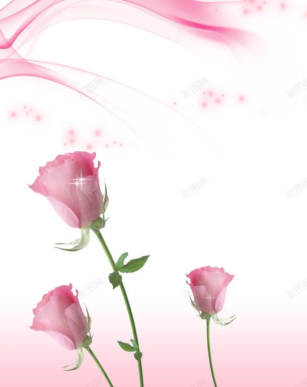 玫瑰花束jpg设计背景_新图网 https://ixintu.com 图片素材 大自然 底纹背景 插画背景 植物 玫瑰 玫瑰花束 玫瑰花束图片 玫瑰花束图片素材下载 背景花边 艺术插画 花 花主题封面素材 花主题背景素材 花朵 花朵图片 花朵背景 花瓣 花纹