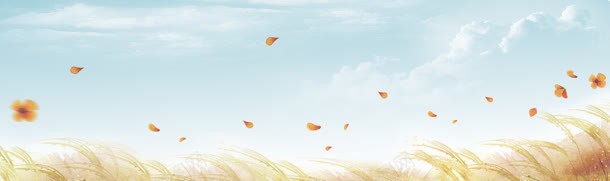 秋季上市淘宝banner壁纸jpg设计背景_新图网 https://ixintu.com 原野 女装 素材 落叶 金秋