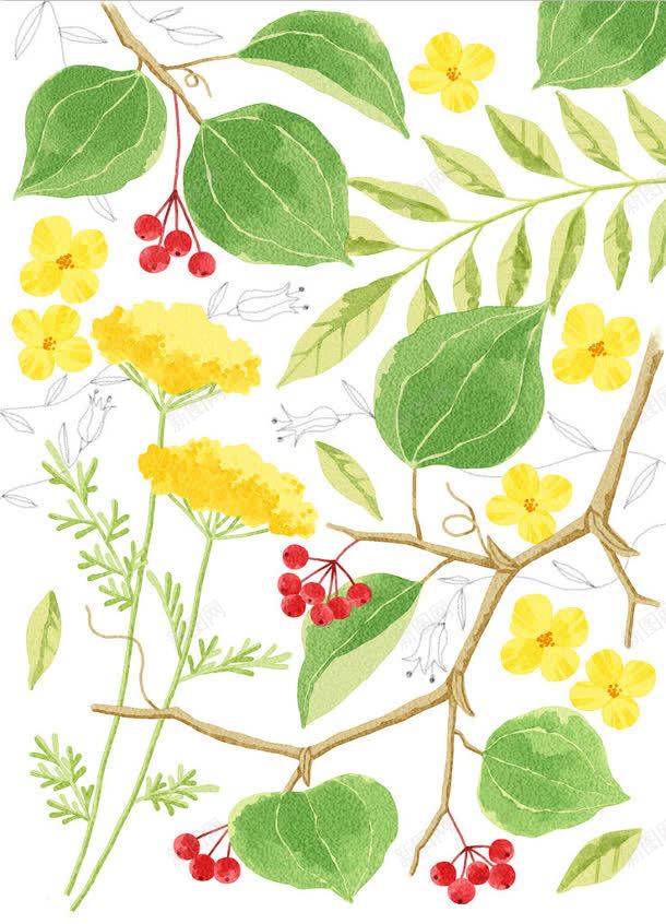 手绘卡通花朵绿叶jpg设计背景_新图网 https://ixintu.com 卡通 绿叶 花朵