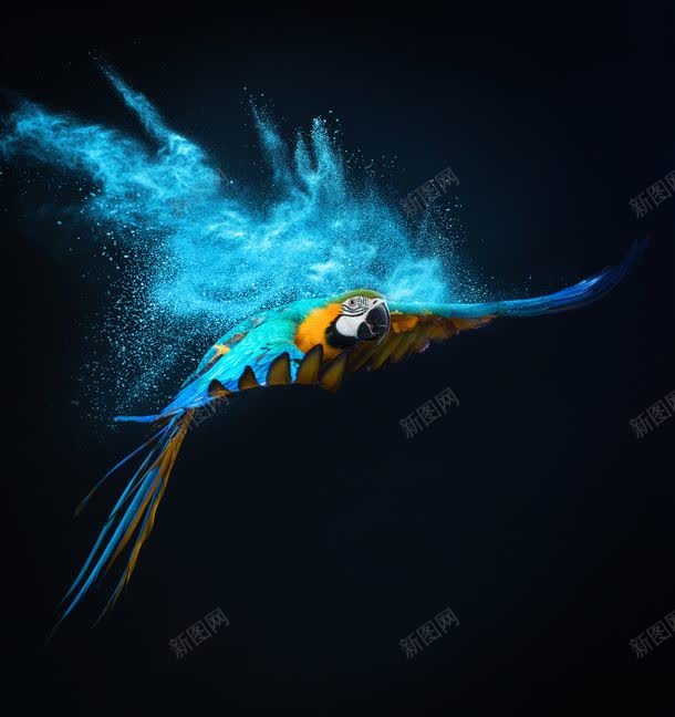 蓝色烟雾与鹦鹉jpg设计背景_新图网 https://ixintu.com 图片素材 底纹背景 梦幻背景 烟雾 粉末 背景花边 蓝色烟雾与鹦鹉图片 蓝色烟雾与鹦鹉图片素材下载 飞翔的鹦鹉 飞鸟 鸟类动物 鹦鹉