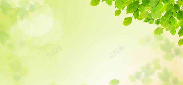 小清新春天绿叶背景jpg设计背景_新图网 https://ixintu.com 小清新 春天 绿叶 背景
