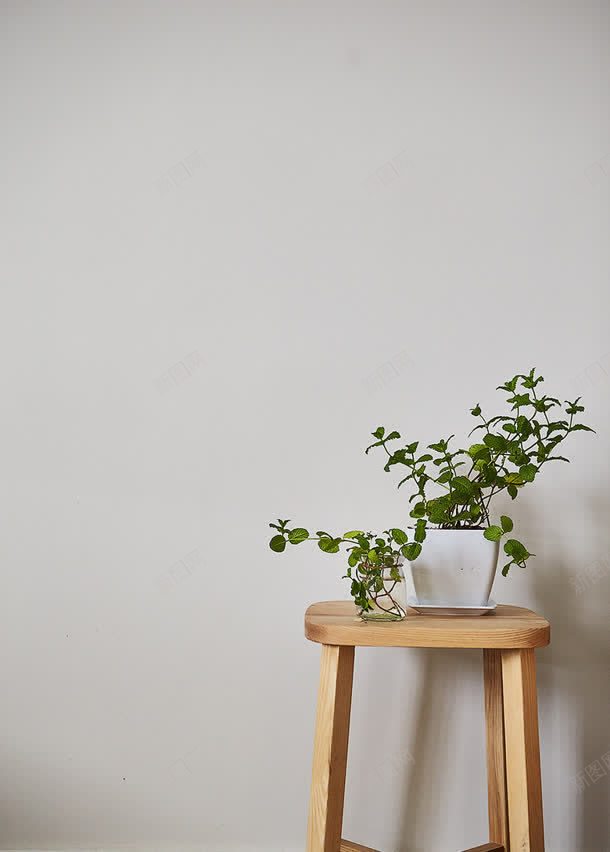 绿色植物淘宝详情页jpg设计背景_新图网 https://ixintu.com 绿色植物 详情