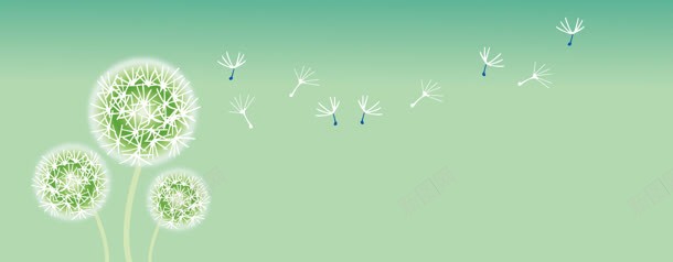 花卉植物banner背景jpg设计背景_新图网 https://ixintu.com 绿色背景 蒲公英