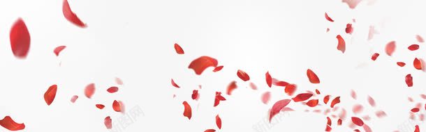 花瓣png免抠素材_新图网 https://ixintu.com 玫瑰 红色 花瓣