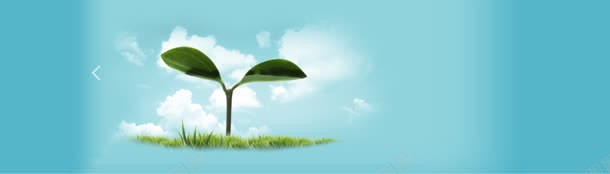教育banner创意背景jpg设计背景_新图网 https://ixintu.com 学习 宣传板 文化 环保