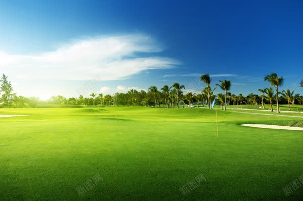 天空草地白云树木jpg设计背景_新图网 https://ixintu.com 天空 树木 白云 草地 蓝蓝天空
