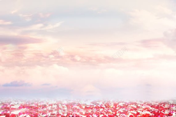 云层下的红色花海海报背景背景