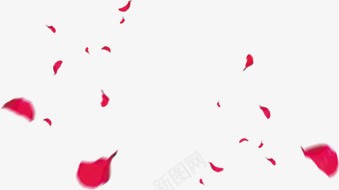 漂浮玫瑰花瓣婚礼png免抠素材_新图网 https://ixintu.com 婚礼 漂浮 玫瑰 花瓣