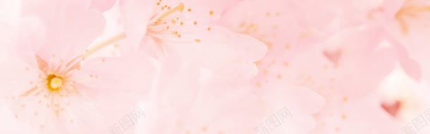 梦幻背景图jpg设计背景_新图网 https://ixintu.com 内衣 化妆品 场景图 女装背景 女鞋 海报背景 童装
