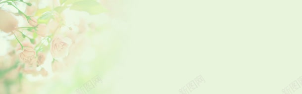 绿色花朵清纯背景bannerjpg设计背景_新图网 https://ixintu.com banner 清纯 绿色 背景 花朵