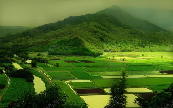 绿色山地田地水稻jpg设计背景_新图网 https://ixintu.com 山地 彩色田地 水稻 田地 绿色