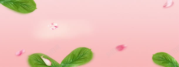 淘宝唯美背景图jpg设计背景_新图网 https://ixintu.com banner 叶子 大气 时尚 横幅 淘宝banner 物语 玫瑰 简约 粉色 花 青春