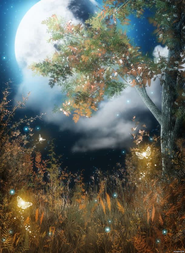 夜下草丛蝴蝶海报背景jpg设计背景_新图网 https://ixintu.com 海报 背景 草丛 蝴蝶