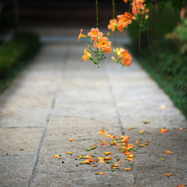 简约清新背景图背景图片 简约清新背景图背景