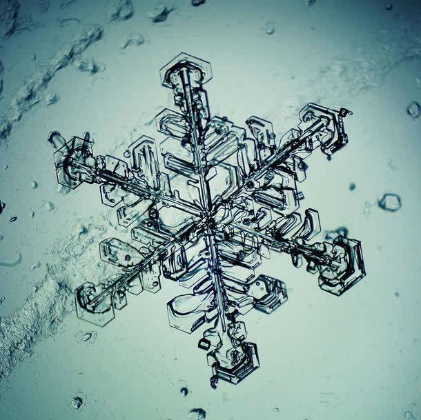 雪花结构jpg设计背景_新图网 https://ixintu.com 其他生物 其它类别 冰 图片素材 晶体 生物世界 结构 背景花边 透明 雪花 雪花结构图片图片 雪花结构图片图片素材下载