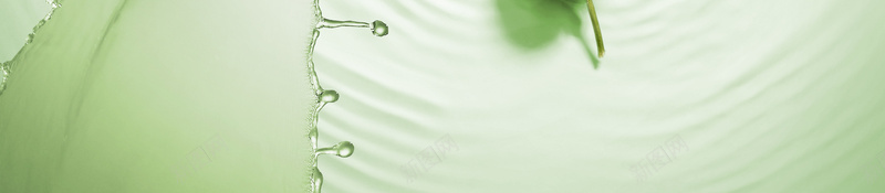 植物美白补水护肤化妆品海报psd设计背景_新图网 https://ixintu.com 化妆品 叶子 护肤品 水花 滋润 绿色 美容 美白