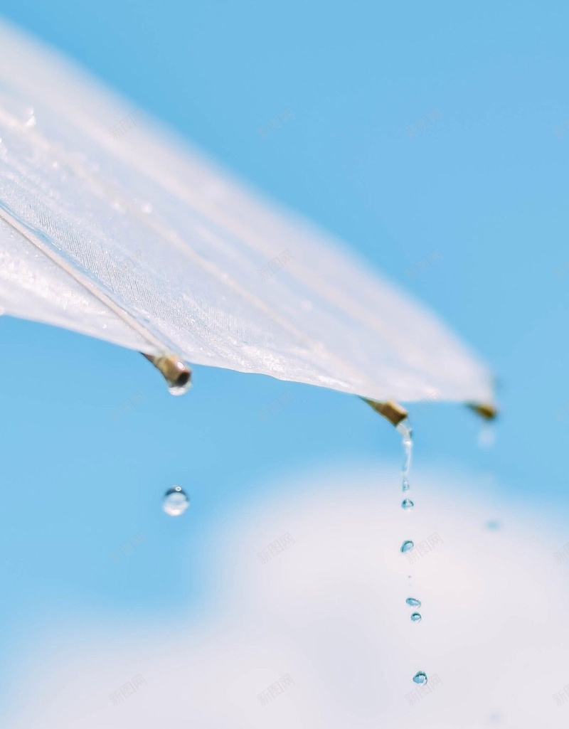 夏天伞蓝色jpg设计背景_新图网 https://ixintu.com 伞 夏天 蓝色 雨水