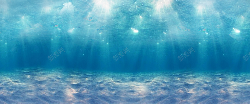 海底jpg_新图网 https://ixintu.com 摄影 沙子 海底 海底沙滩 海报banner 海洋 风景
