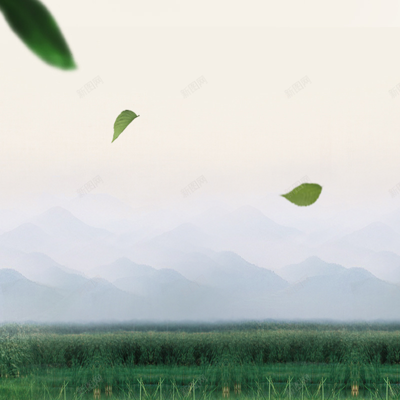 中国风茶叶茶园绿叶飘絮物主图背景psd设计背景_新图网 https://ixintu.com 中国风 主图 叶子 绿叶 背景 茶 茶叶 茶园 飘絮物