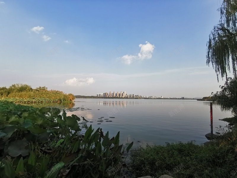龙子湖手机拍摄jpg设计背景_新图网 https://ixintu.com 手机拍摄 湖畔 湖边 龙子湖
